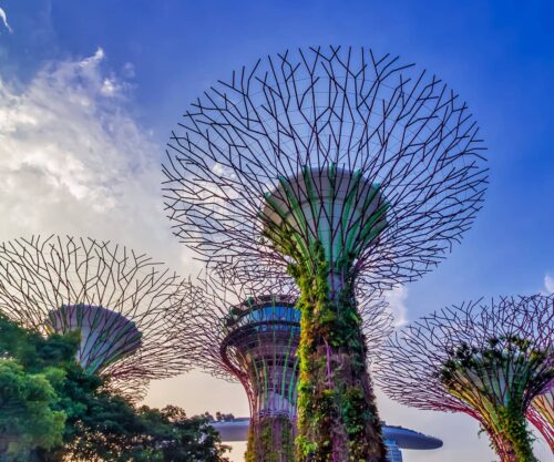Asia Extravaganza Tour
